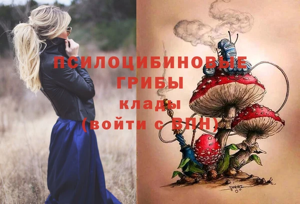 стаф Валуйки