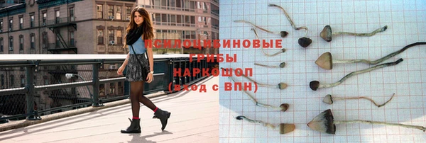 spice Кодинск