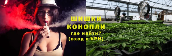 прущая мука Козловка