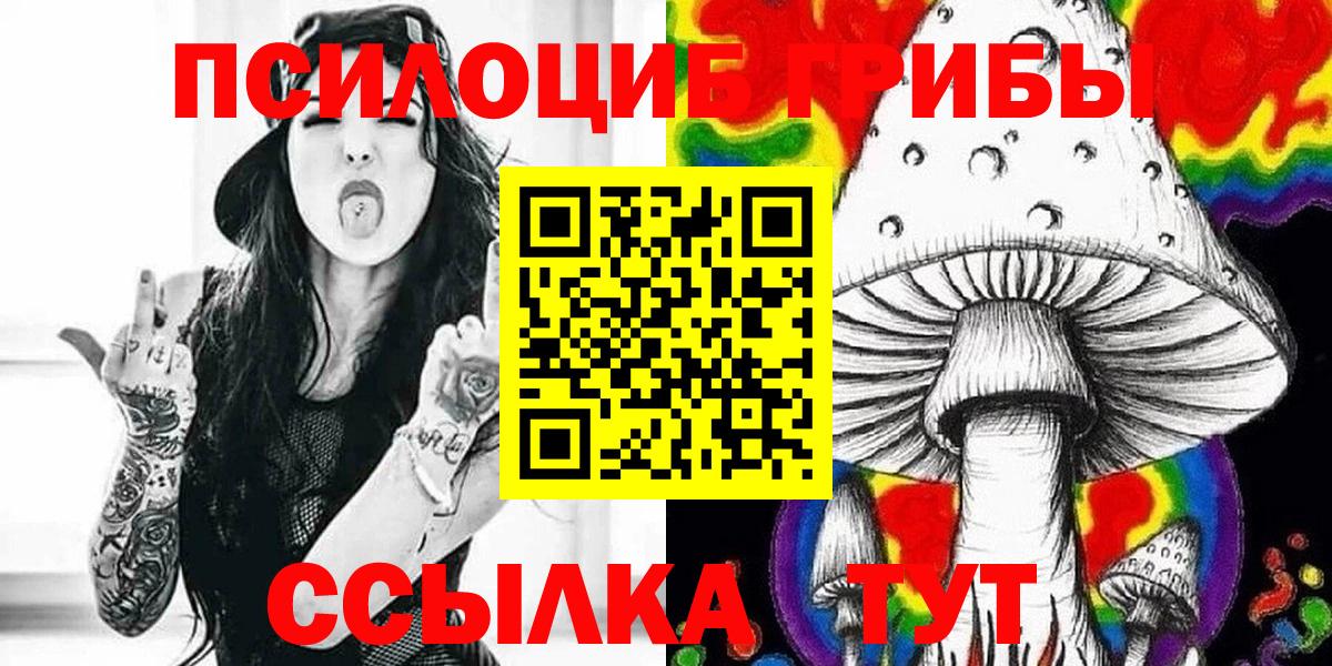 Псилоцибиновые грибы Cubensis Коркино