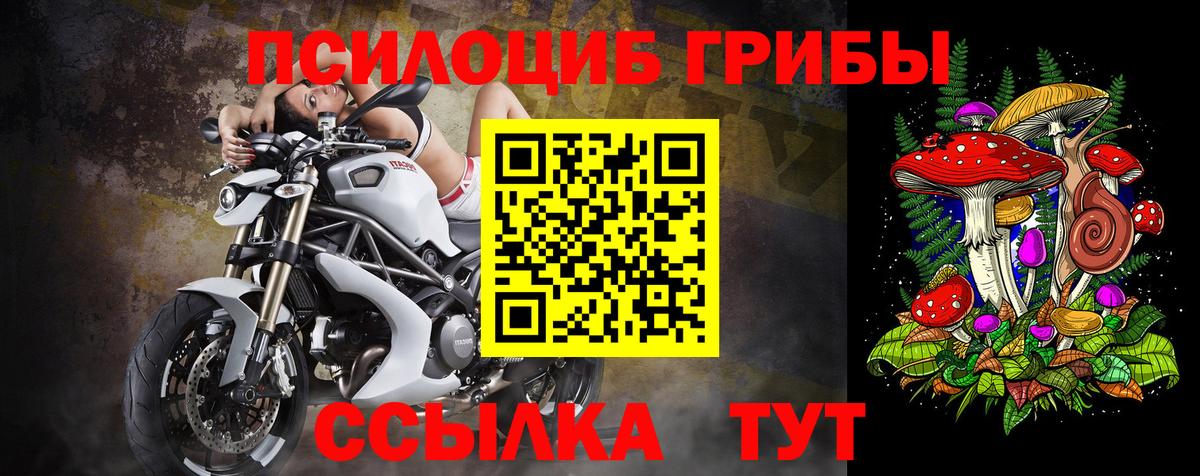 закладки  Вход с VPN  Псилоцибиновые грибы MAGIC MUSHROOMS  Коркино  Псилоцибиновые грибы Magic Shrooms 