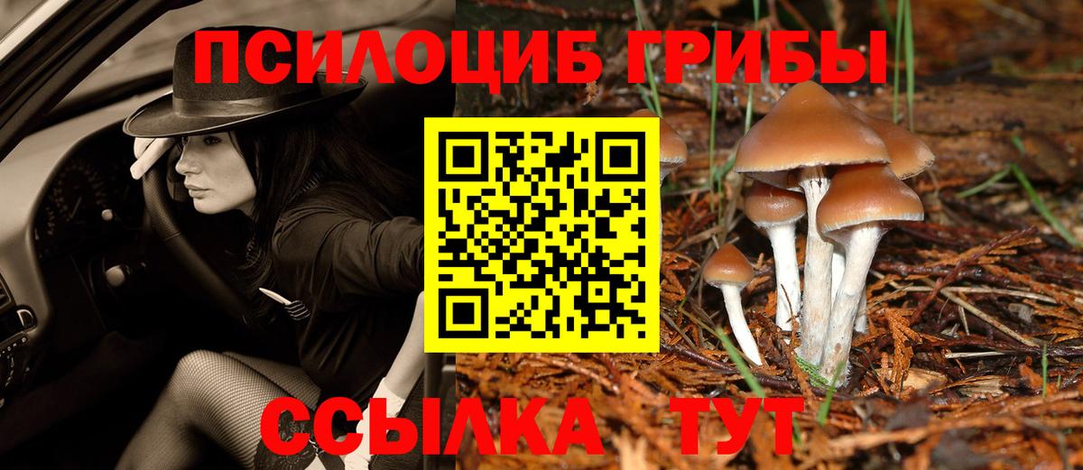 Псилоцибиновые грибы мухоморы  Галлюциногенные грибы Psilocybine cubensis  Коркино 