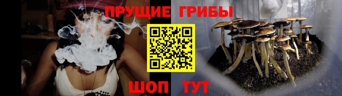 Псилоцибиновые грибы мицелий Коркино